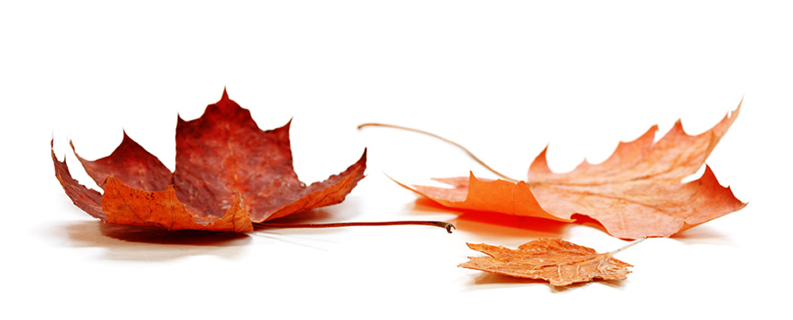about-3-background-1 a